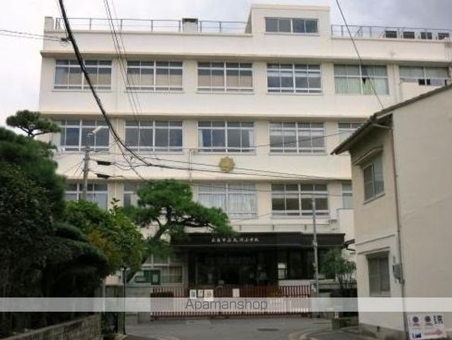 小学校　大河小学校（小学校）まで732m
