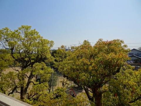 大阪モノレール本線 柴原阪大前駅 徒歩5分 3階建 築31年のその他写真