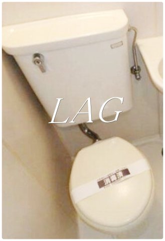 ＪＲ山手線 高田馬場駅 徒歩6分 5階建 築40年のトイレ写真