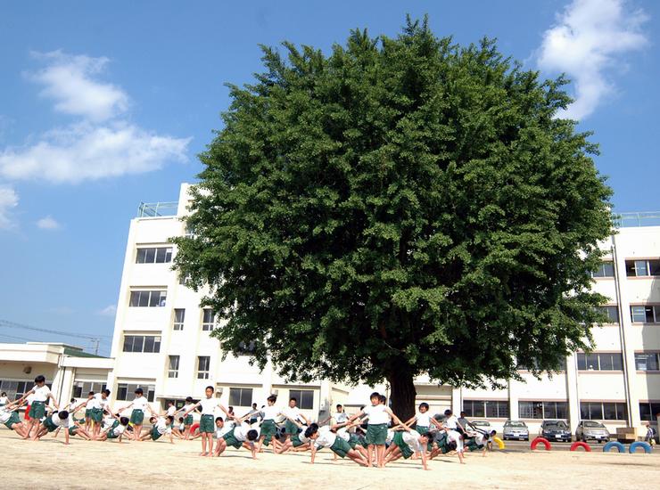 【ソレイユ華の小学校】