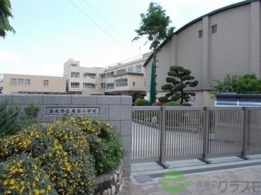 【茨木市上穂積のアパートの小学校】