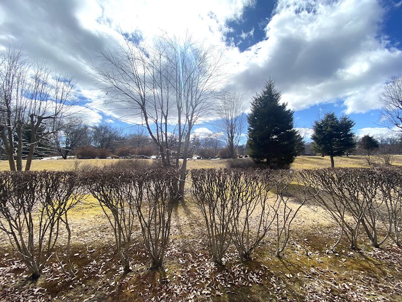 眺望　お部屋からの眺望です！マンションのお庭を眺めることができます