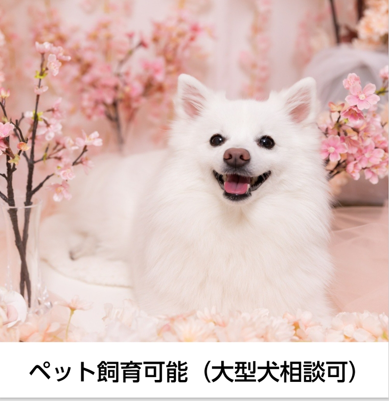 東久保町貸家のその他写真