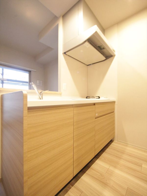 キッチン　システムキッチン（ガス2口コンロ付）収納スペース充実