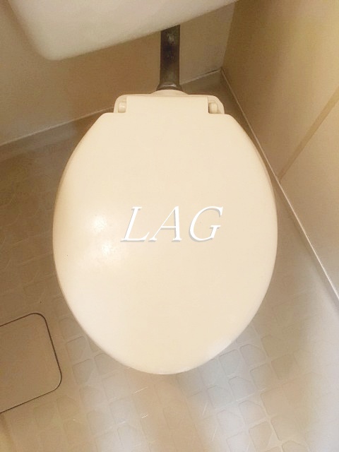 トイレ　トイレです。