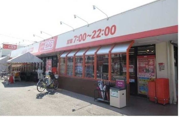 スーパー　ザ・ビッグ相模原二本松店（スーパー）まで750m