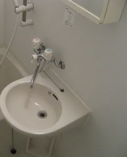 洗面設備　※別部屋の参考写真です。