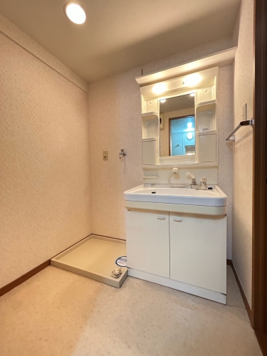 洗面設備　参考写真、現況優先