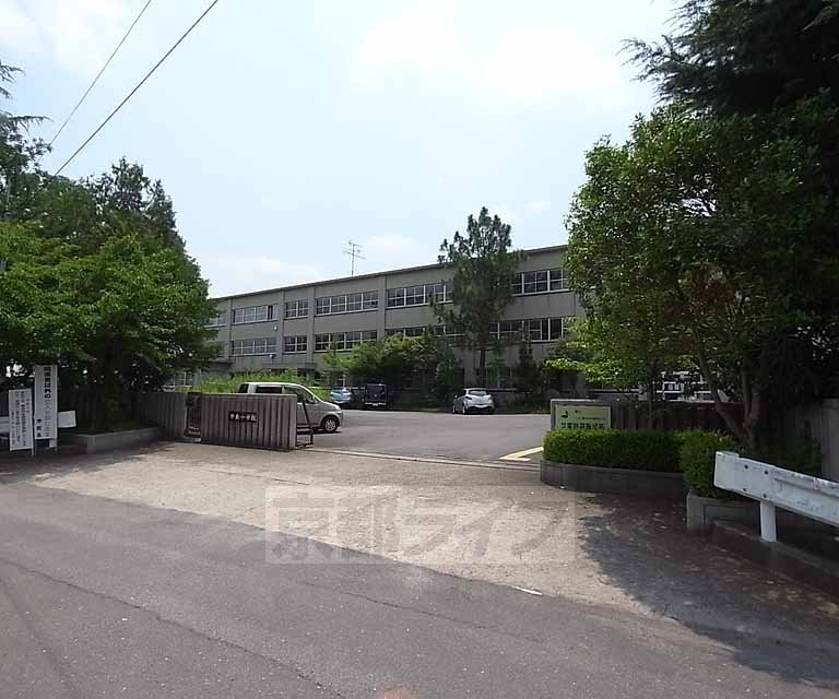 小学校　中央小学校（小学校）まで371m