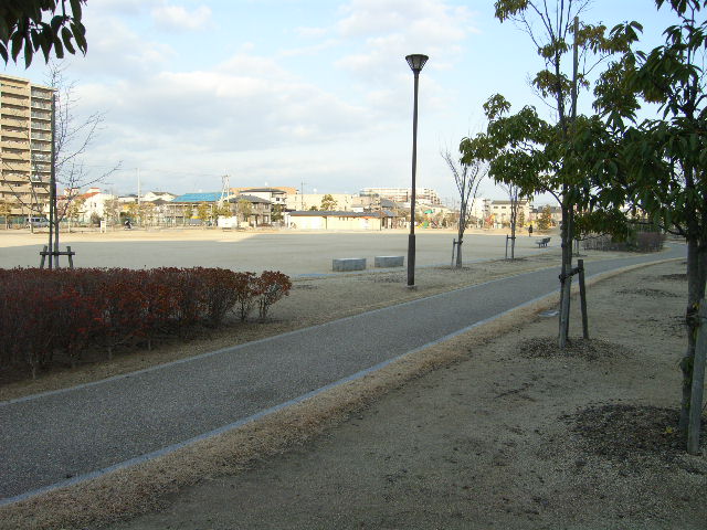 公園　新公園（公園）まで1236m