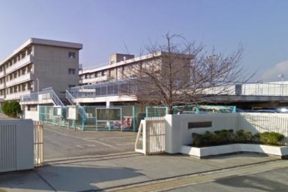 小学校　岡山市立芳泉小学校（小学校）まで679m