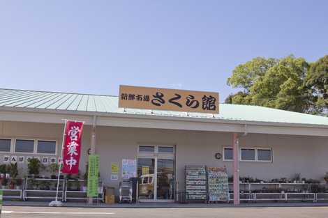 スーパー　新鮮市場さくら館（スーパー）まで294m