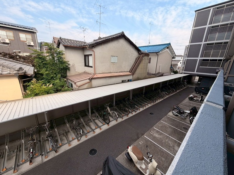 庭