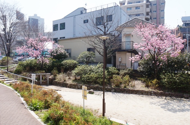公園　玉川上水公園（公園）まで767m