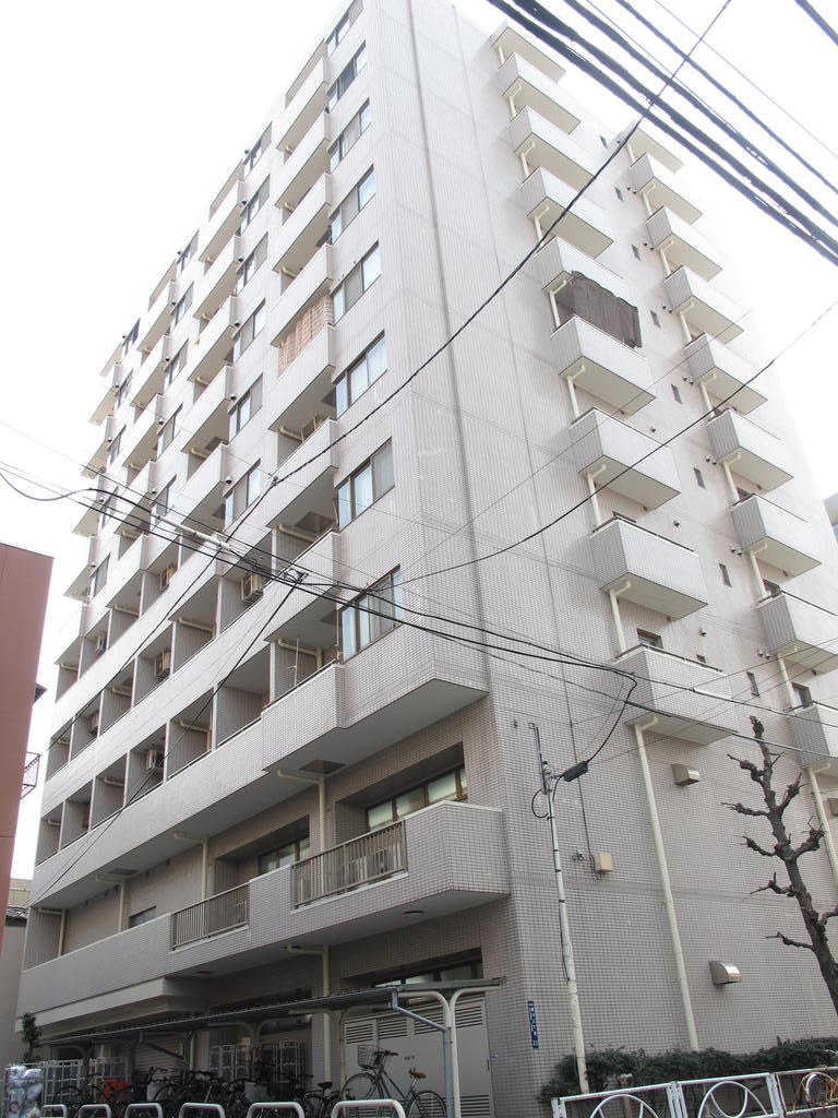 ライツ菊川