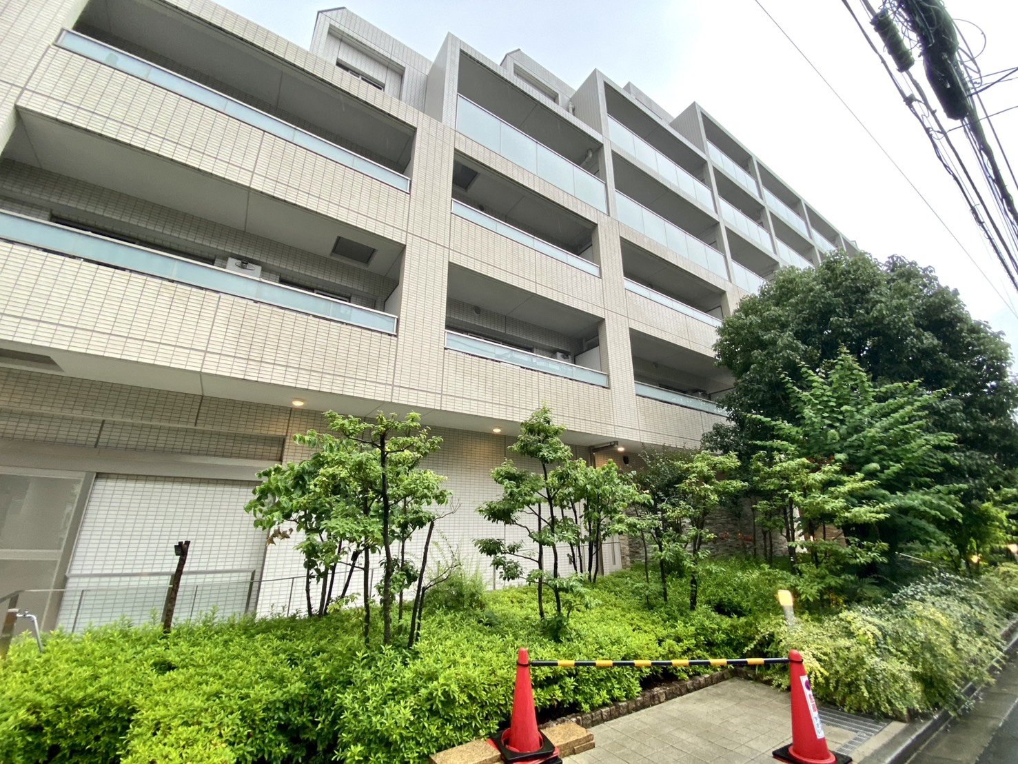 建物外観　緑に包まれた、落ち着きあるレジデンス