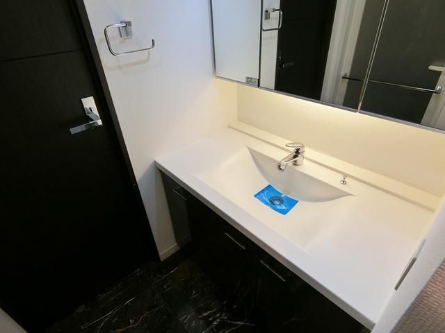 洗面設備　別タイプ部屋　参考写真です