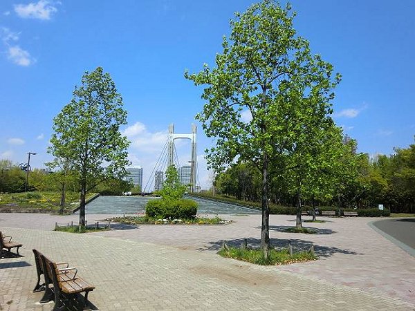 公園　木場公園（公園）まで590m