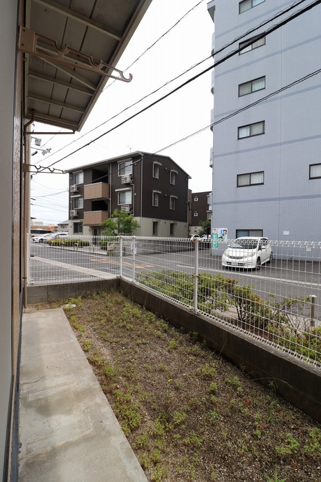 庭