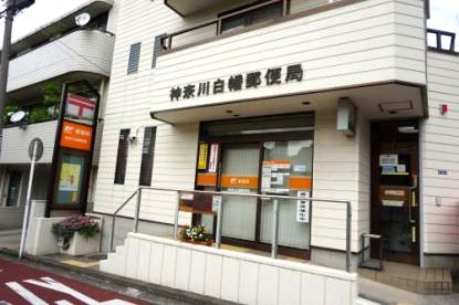 郵便局　神奈川白幡郵便局（郵便局）まで480m
