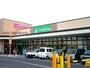 ドラックストア　フードラッグ米野木店（ドラッグストア）まで263m