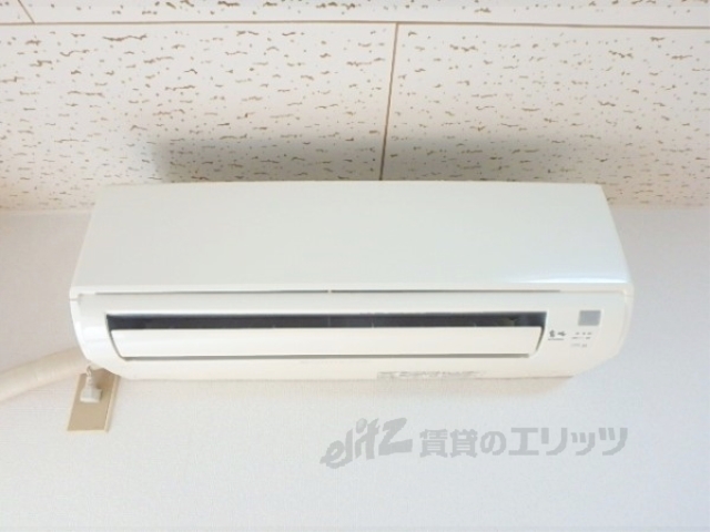 RICO1のその他写真