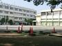 小学校　板橋第九小学校（小学校）まで540m