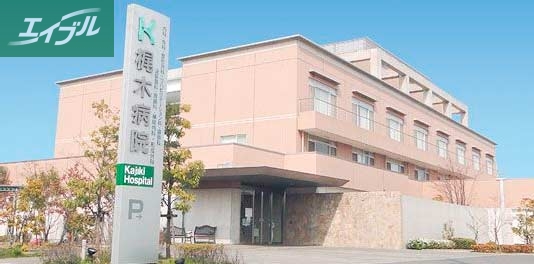 病院　医療法人社団三樹会梶木病院（病院）まで687m