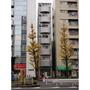 建物外観　アール・ブリュット白山　文京区白山1