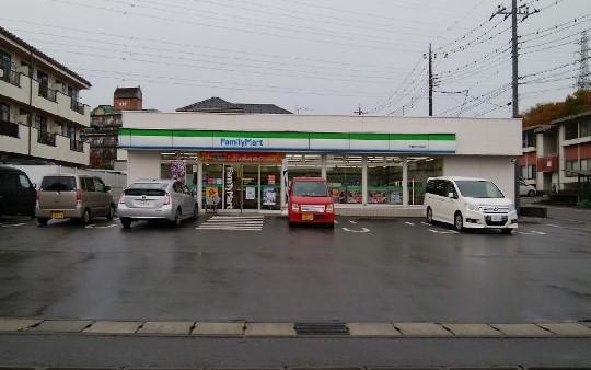 コンビニ　ファミリーマート宇都宮下戸祭店（コンビニ）まで297m