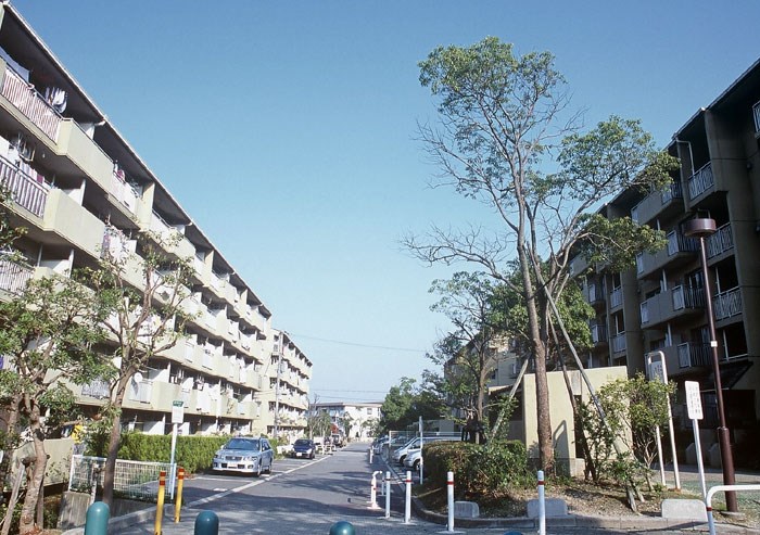 神戸市須磨区横尾のマンションの建物外観