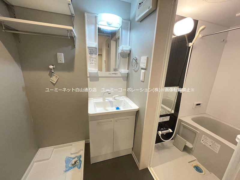 洗面設備　写真は別号室です。