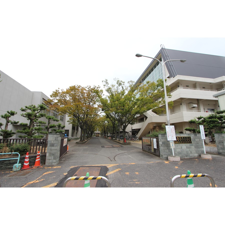 大学・短大　国立徳島大学総合科学部（大学・短大）まで1119m