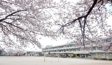 小学校　加須市立騎西小学校（小学校）まで185m