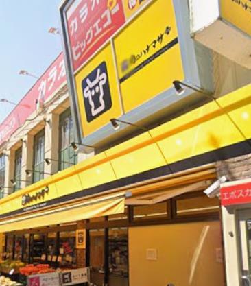 スーパー　Hanamasa　Plus＋綱島店（スーパー）まで175m