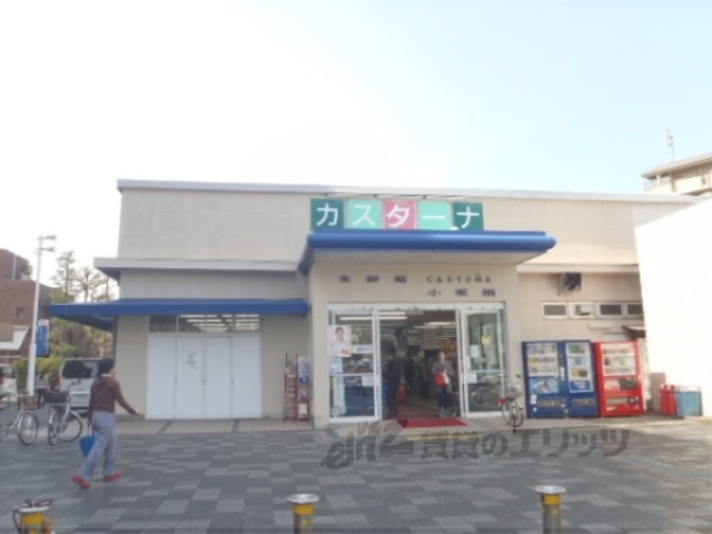 スーパー　食鮮館カスターナ（スーパー）まで1250m