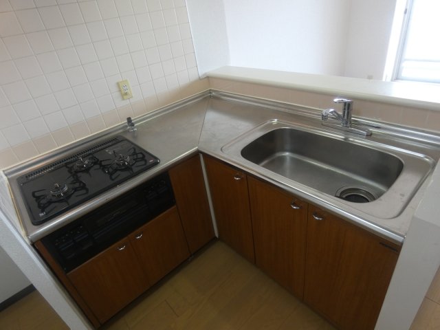 南海住吉清水丘グリーンコートのキッチン写真