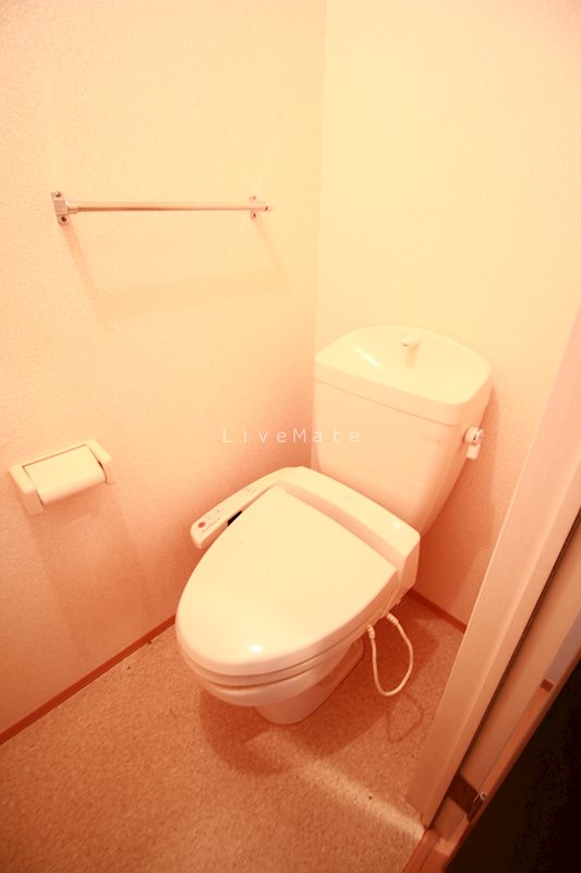 ヴァンドミール流田のトイレ写真