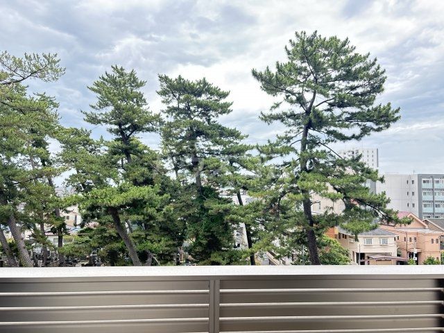 眺望