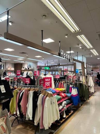 ショッピングセンター　ハニーズ高島平店（ショッピングセンター）まで350m