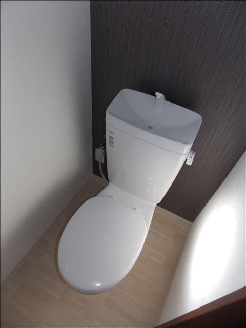 トイレ　トイレです！ワンポイントクロス施工済！