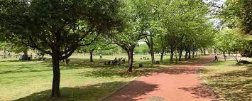 公園　北柏ふるさと公園（公園）まで1392m