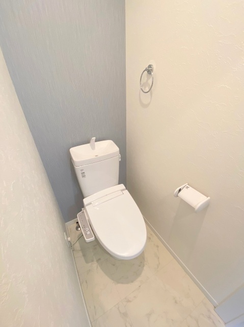 ウエストハイム吉川美南Iのトイレ写真