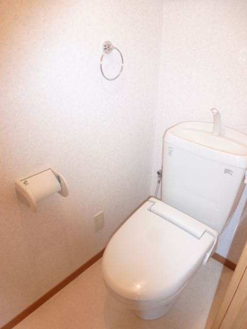 東武佐野線 佐野駅 徒歩17分 3階建 築19年のトイレ写真