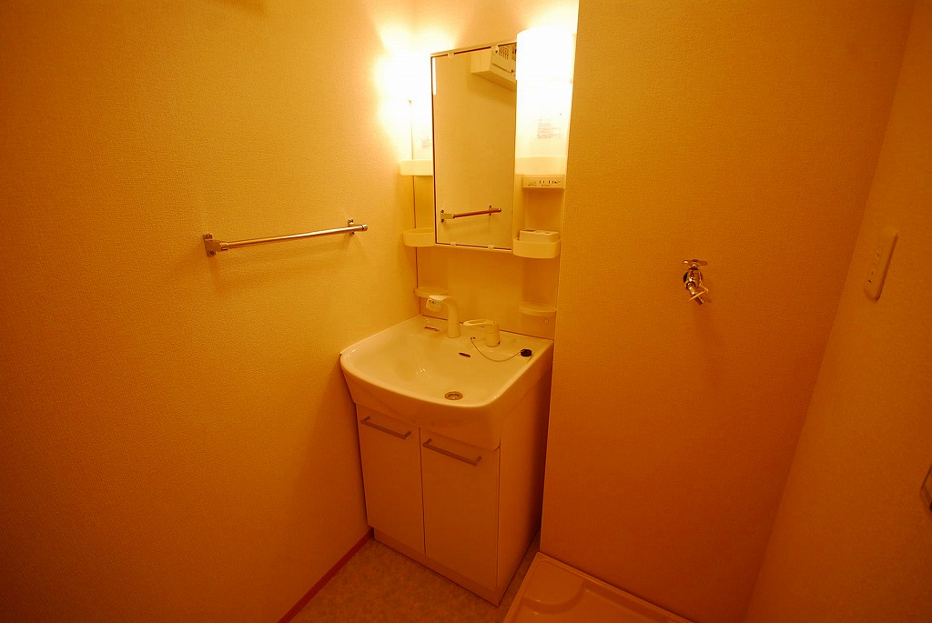 洗面設備　シャンプードレッサー　※別号室参考写真