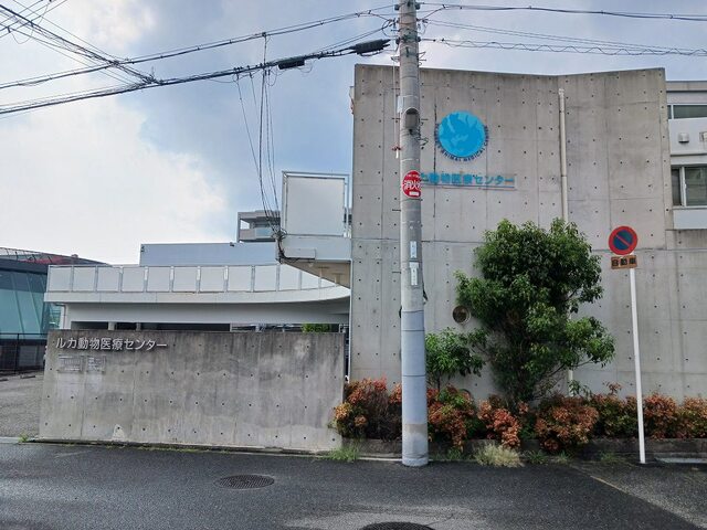 その他　ルカ動物医療センターまで600m