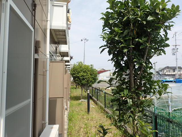 バルコニー　バルコニー側