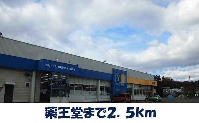 ドラックストア　薬王堂村崎野店（ドラッグストア）まで2500m