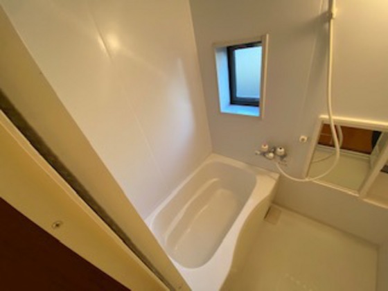バス・シャワールーム　※別部屋の写真です