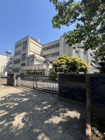 小学校　松戸市立八ケ崎小学校（小学校）まで805m